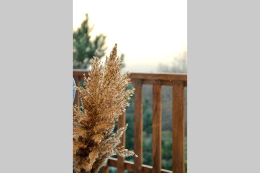 View Apartments Belasica Mokrijevo エクステリア 写真