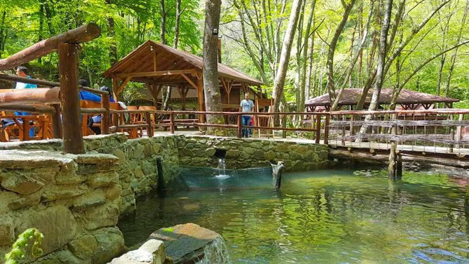 View Apartments Belasica Mokrijevo エクステリア 写真